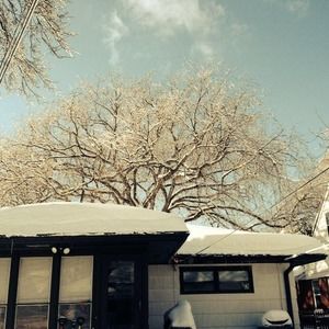 Meet your Posher, Lauri